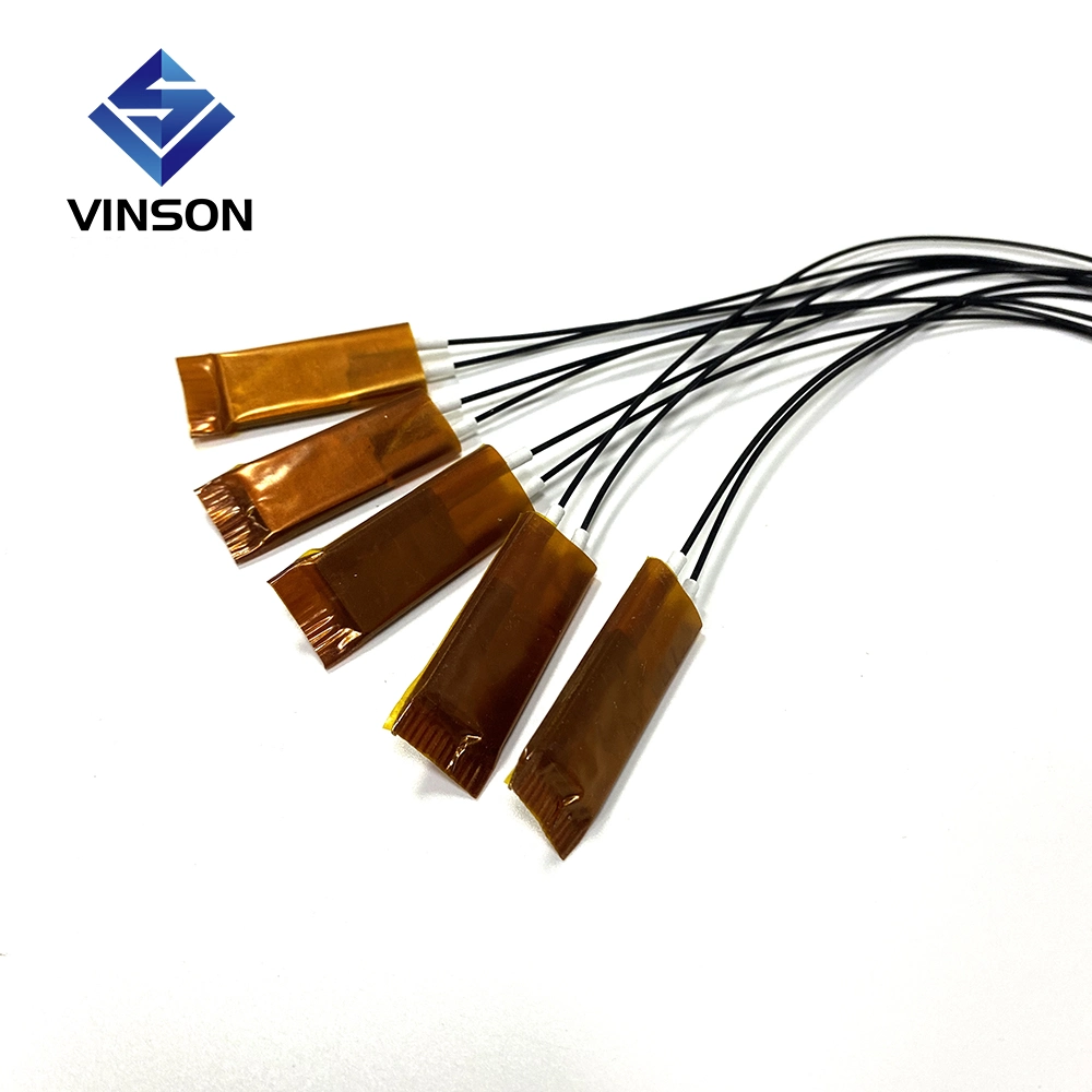 Vinson 12V 24V 48V 110V 120V 240V Food Warmer Water Heat Using Ceramic PTC Heating Element PTC Heater