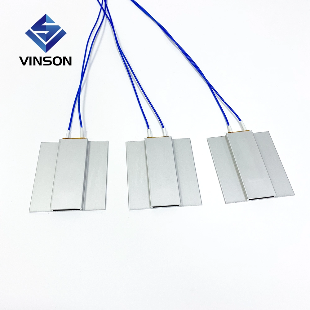 Vinson 12V 24V 48V 110V 120V 240V Food Warmer Water Heat Using Ceramic PTC Heating Element PTC Heater
