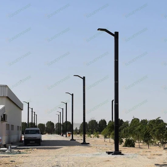 Vertical Solar Panel MPPT Charging Controller 60W Dimming Solar LED Street Lamp